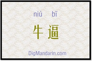 NIUBI